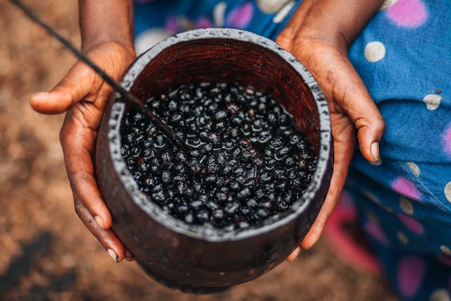 Frozen Acai Berries: Health Benefits | Superfood for Energy and Detox