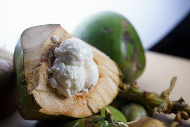 Frozen Coconut Pulp: Benefits, Uses, and Commercial Advantages