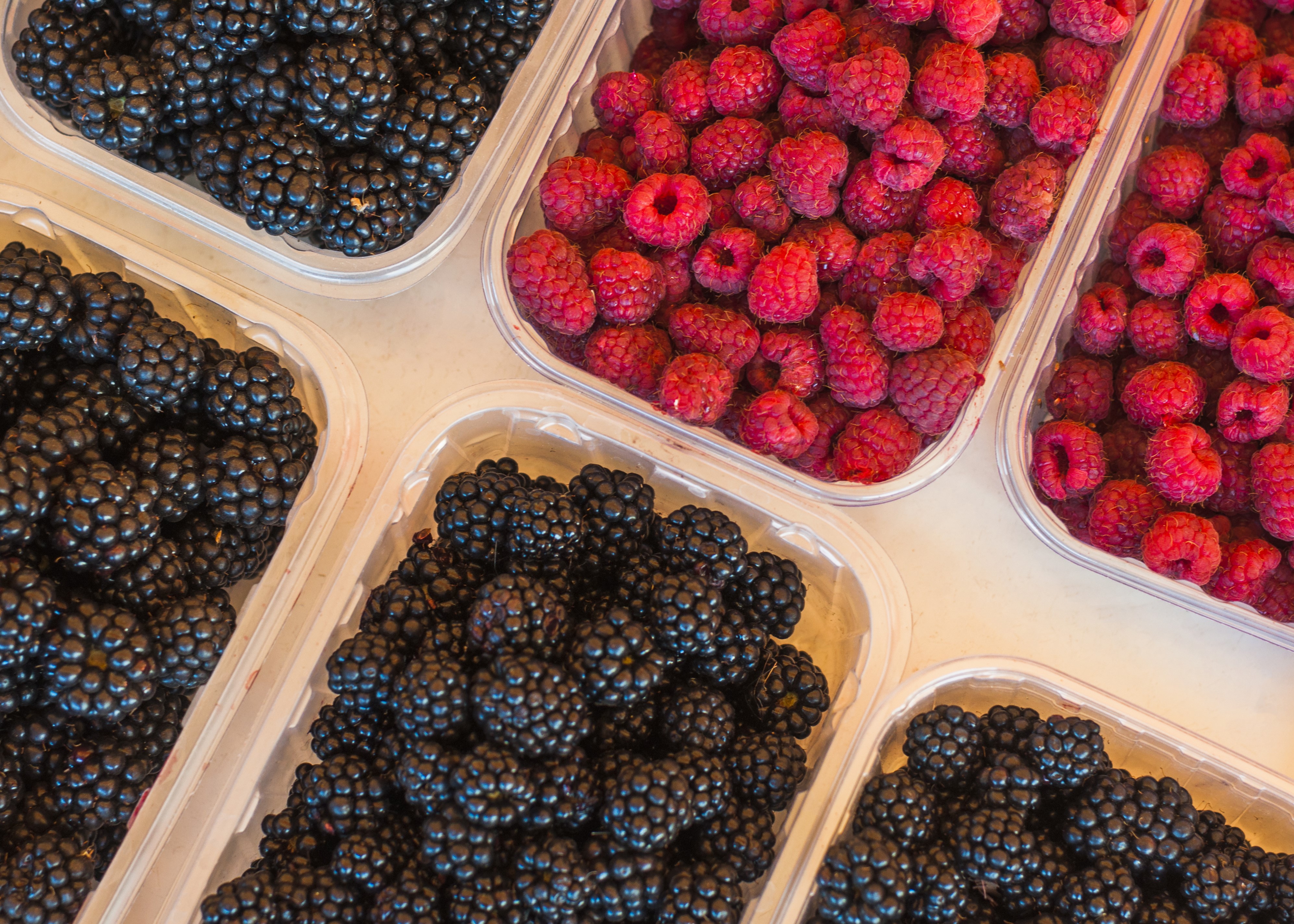 From Farm to Freezer: The Journey of Bulk Organic Frozen Berries